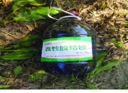 双鸭山尊龙凯时人生就是博路馨达沥青灌缝胶